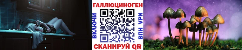 Галлюциногенные грибы мицелий  Купить закладки  Вышний Волочёк 